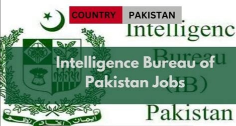 IB Jobs Online Apply