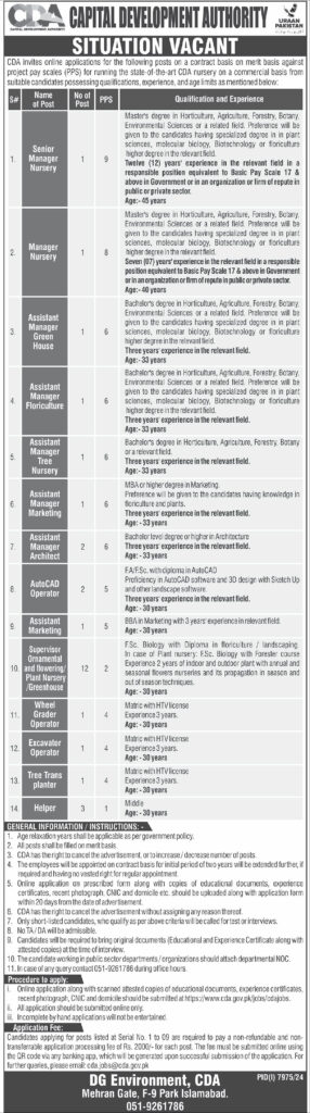 Assistant Director Social Welfare Department